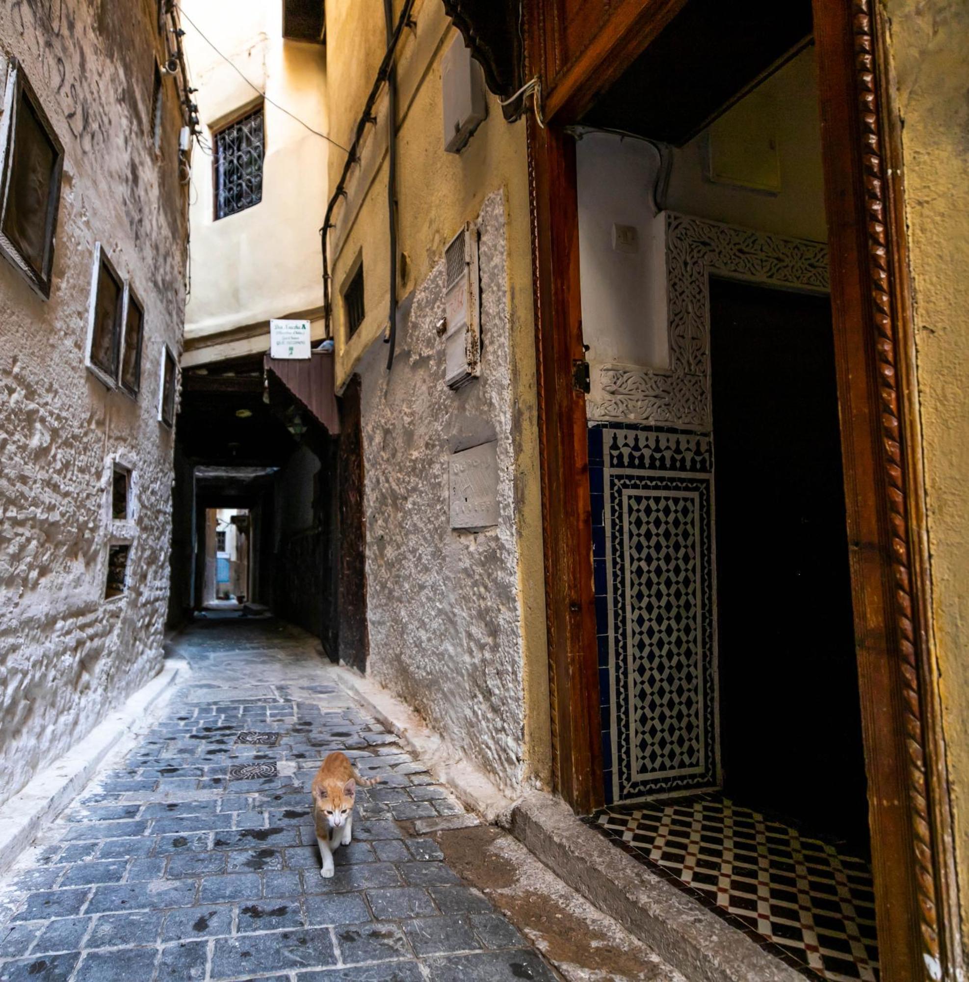 Riad Dar Omar Fez Exterior photo