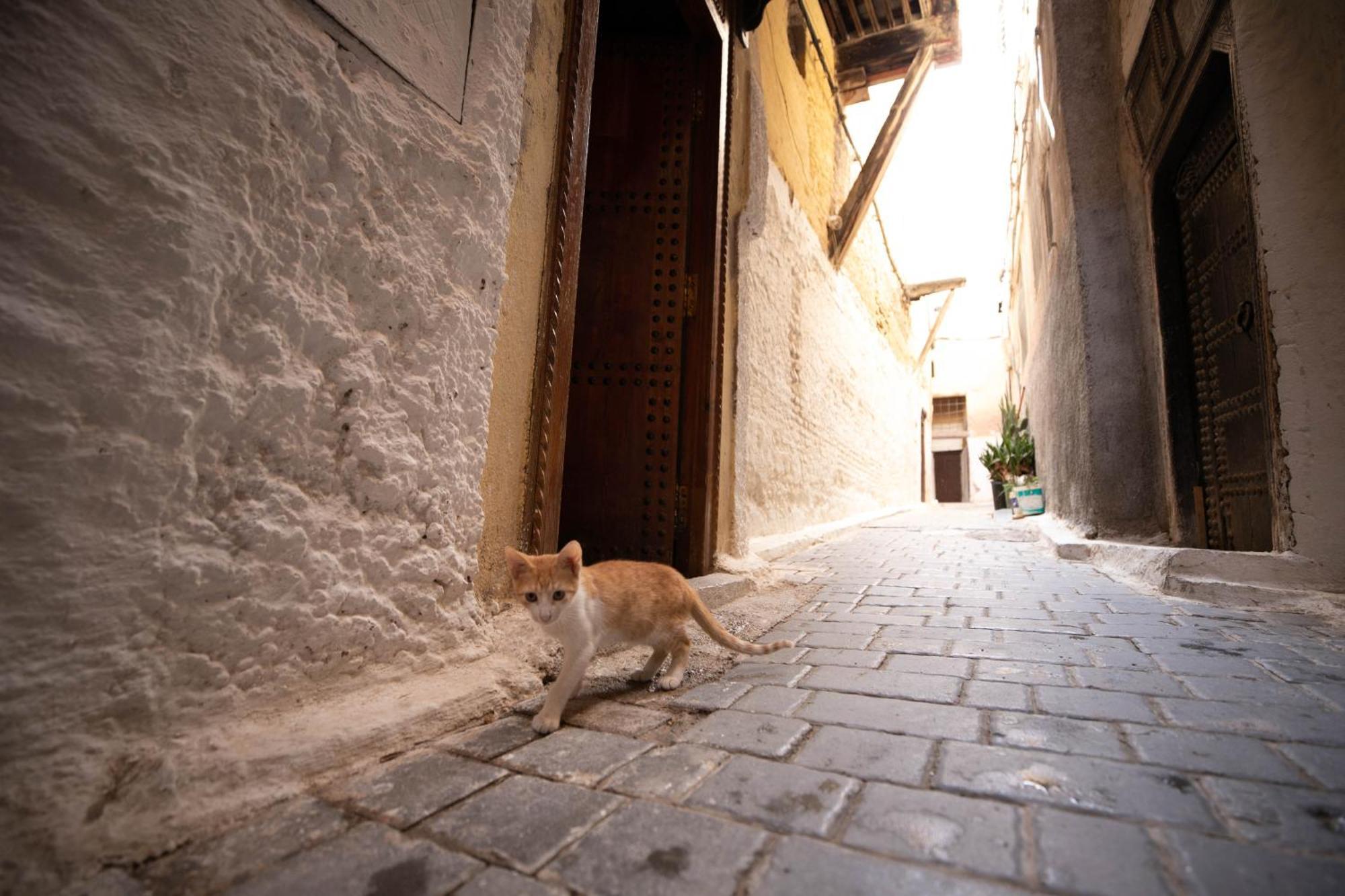 Riad Dar Omar Fez Exterior photo